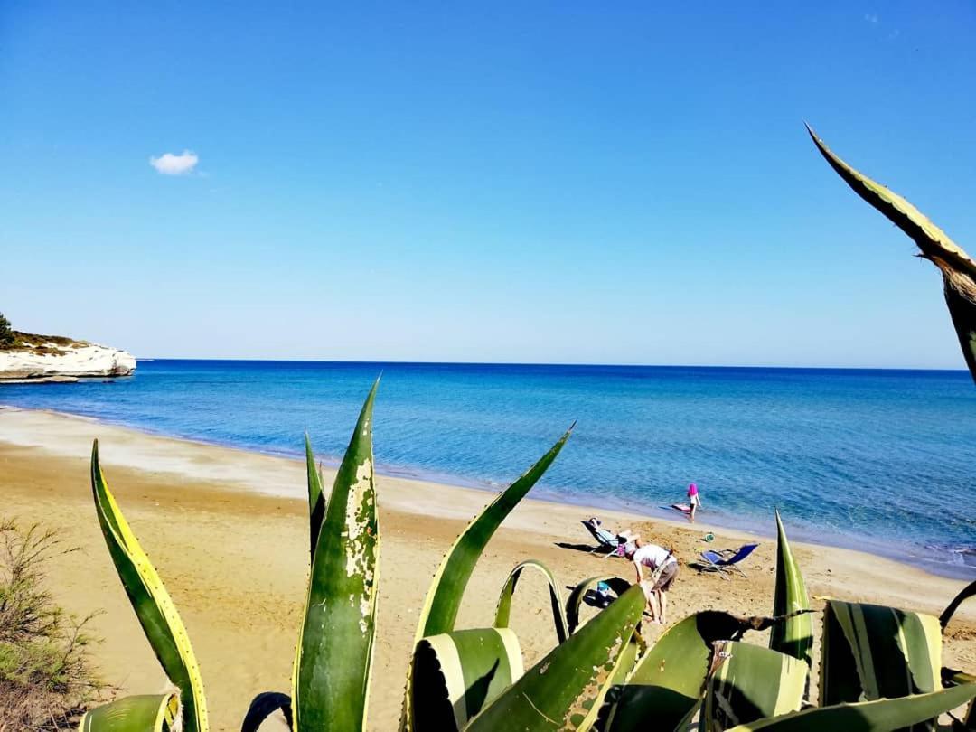 Casa la conchiglia sulla spiaggia Lido di Noto Esterno foto